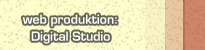 Web produktion Digital Studio